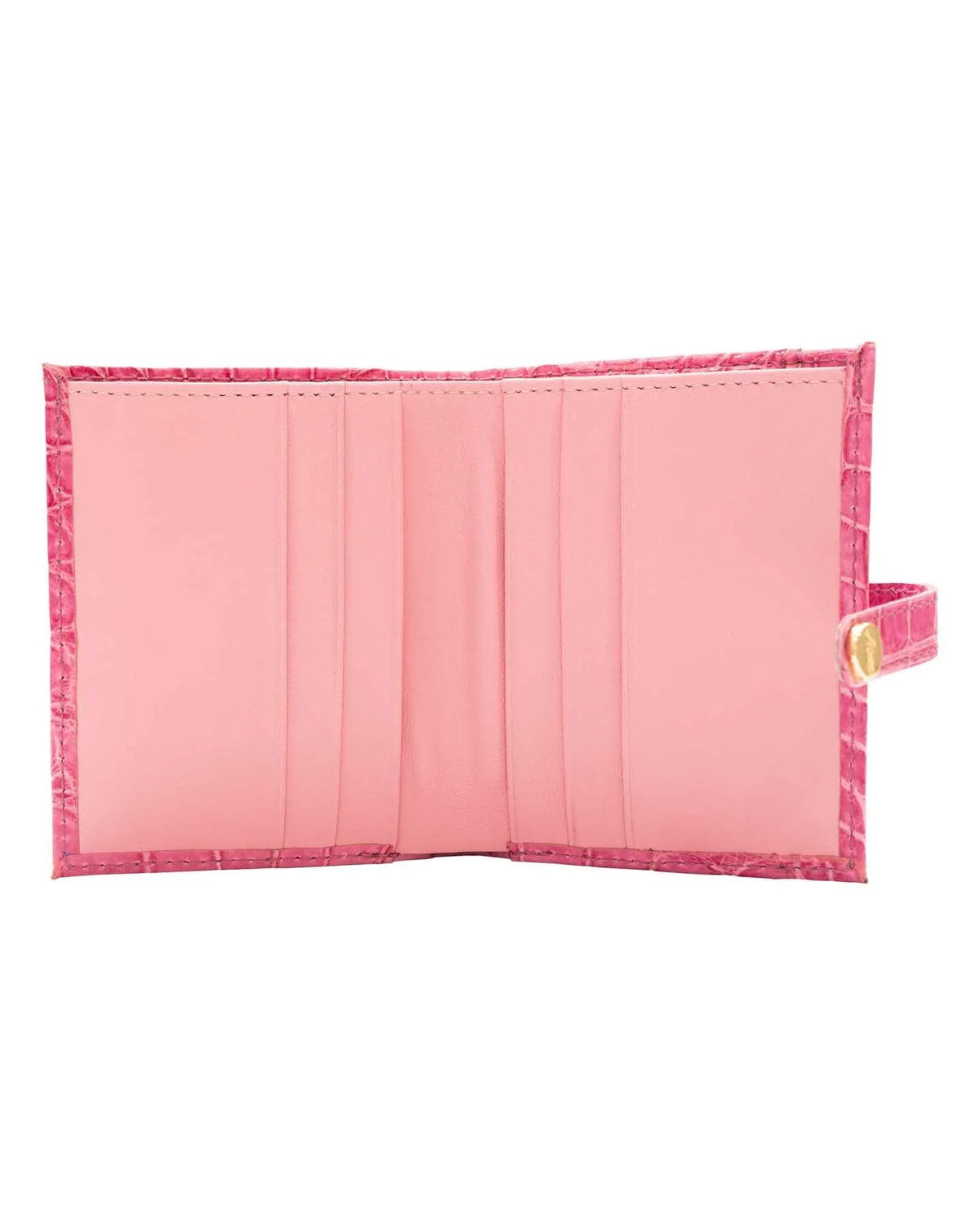 #color_Pure Pink