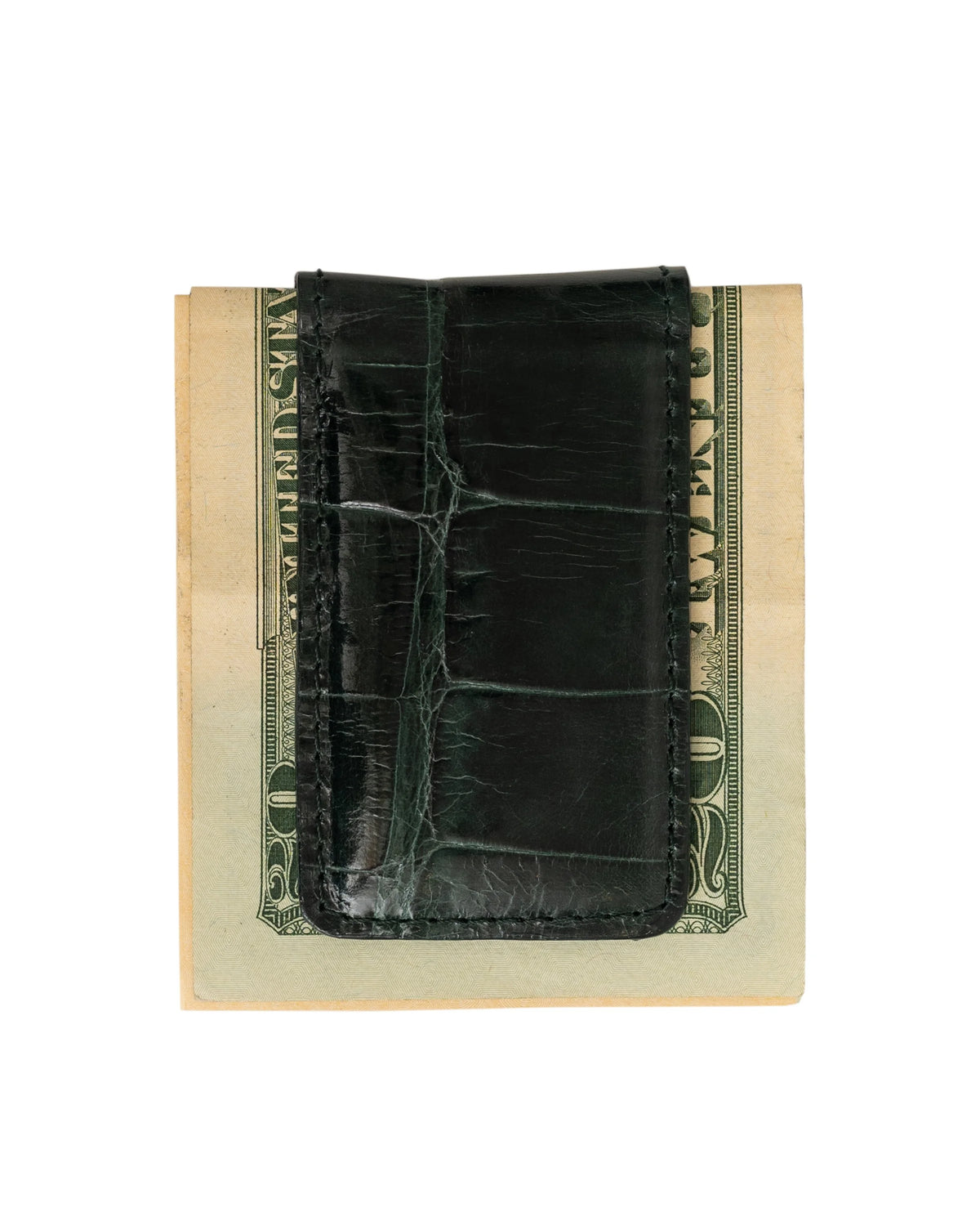 #color_Hunter Green