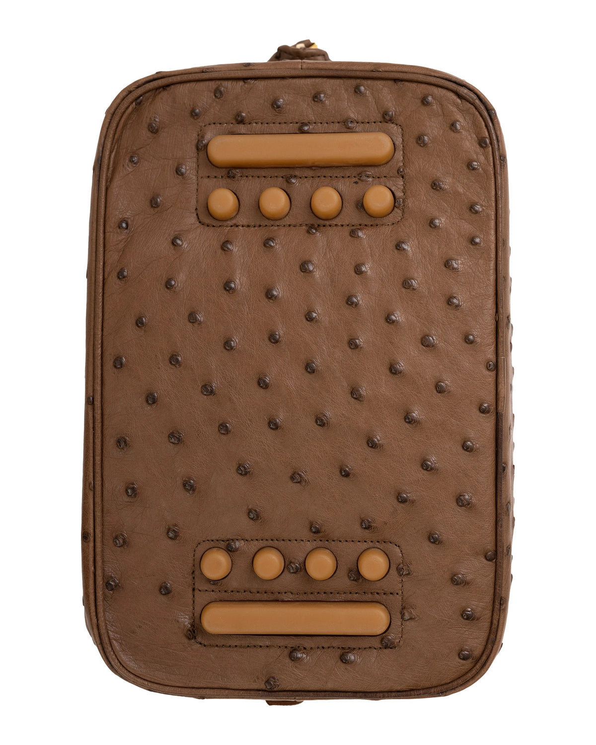 #color_Brown