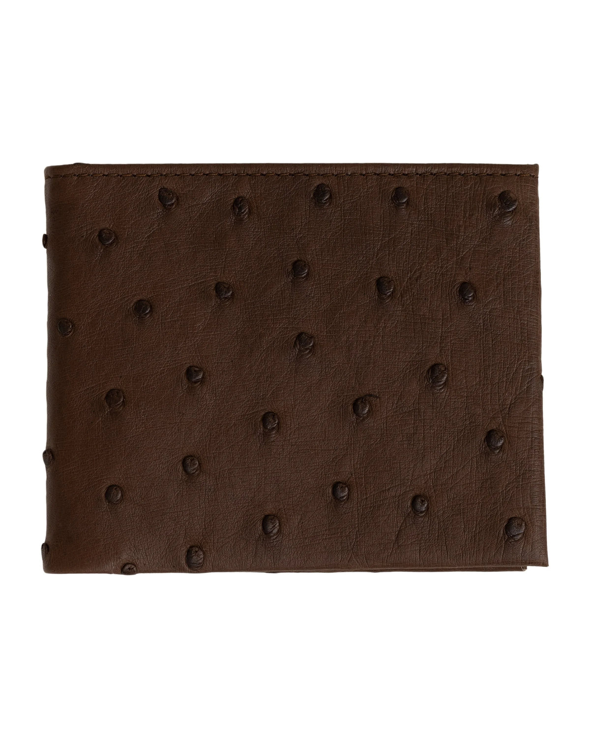 #color_Brown