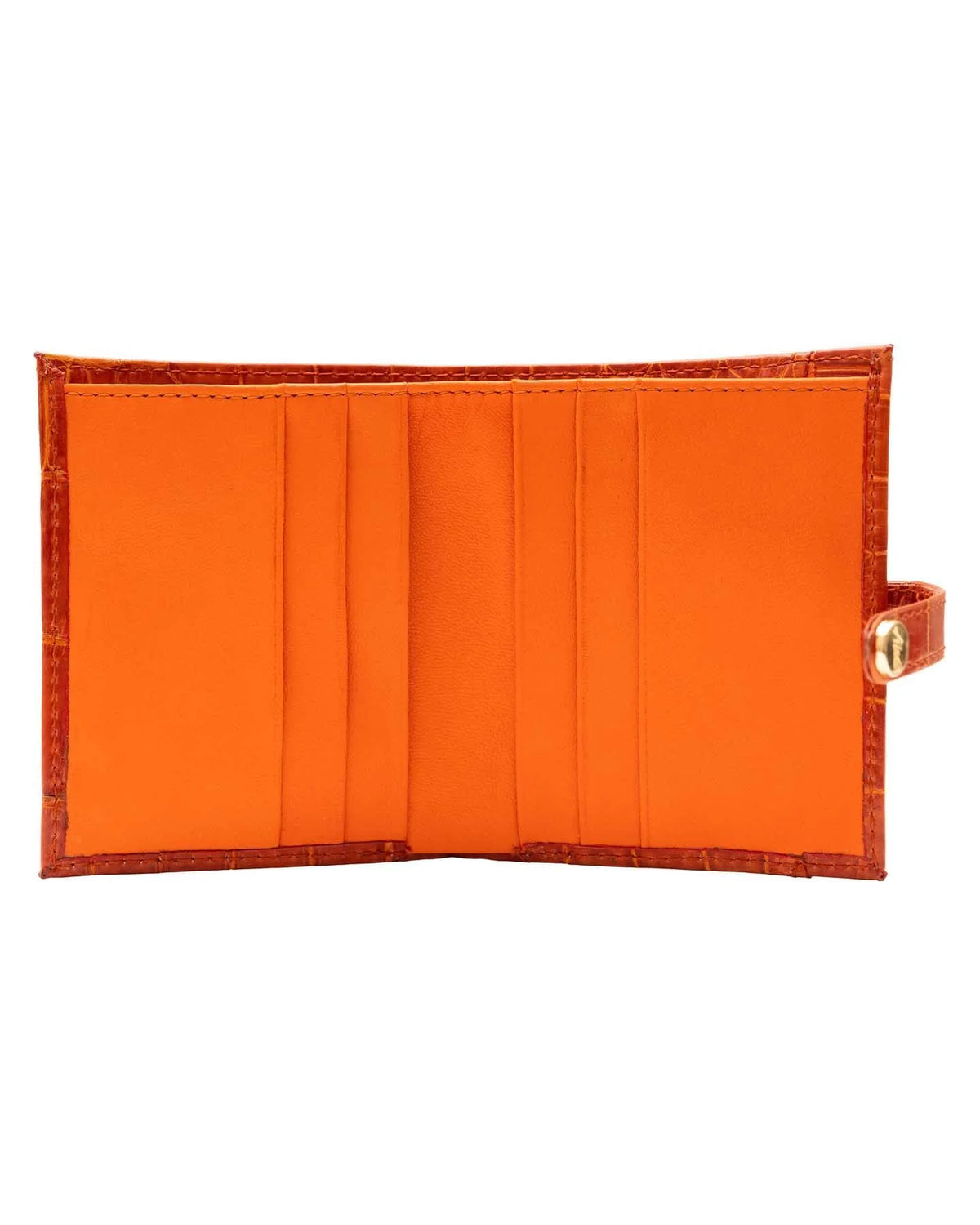 #color_Orange