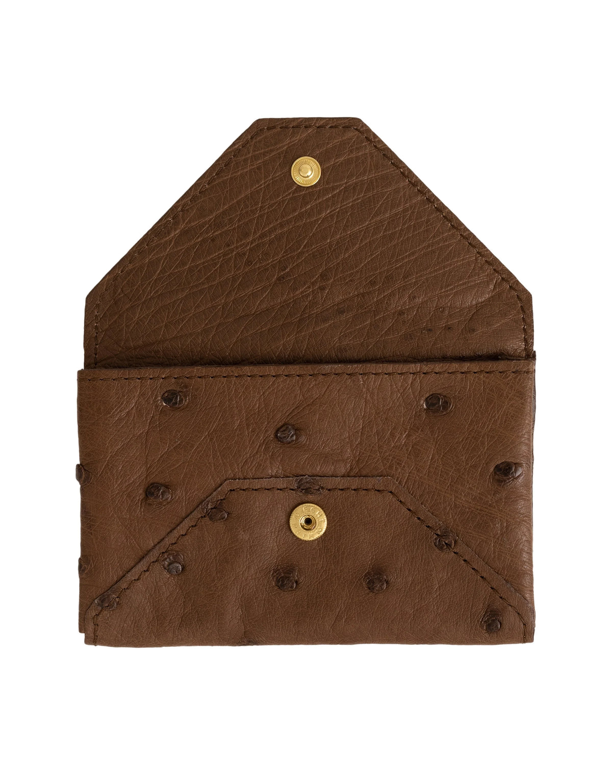 #color_Brown