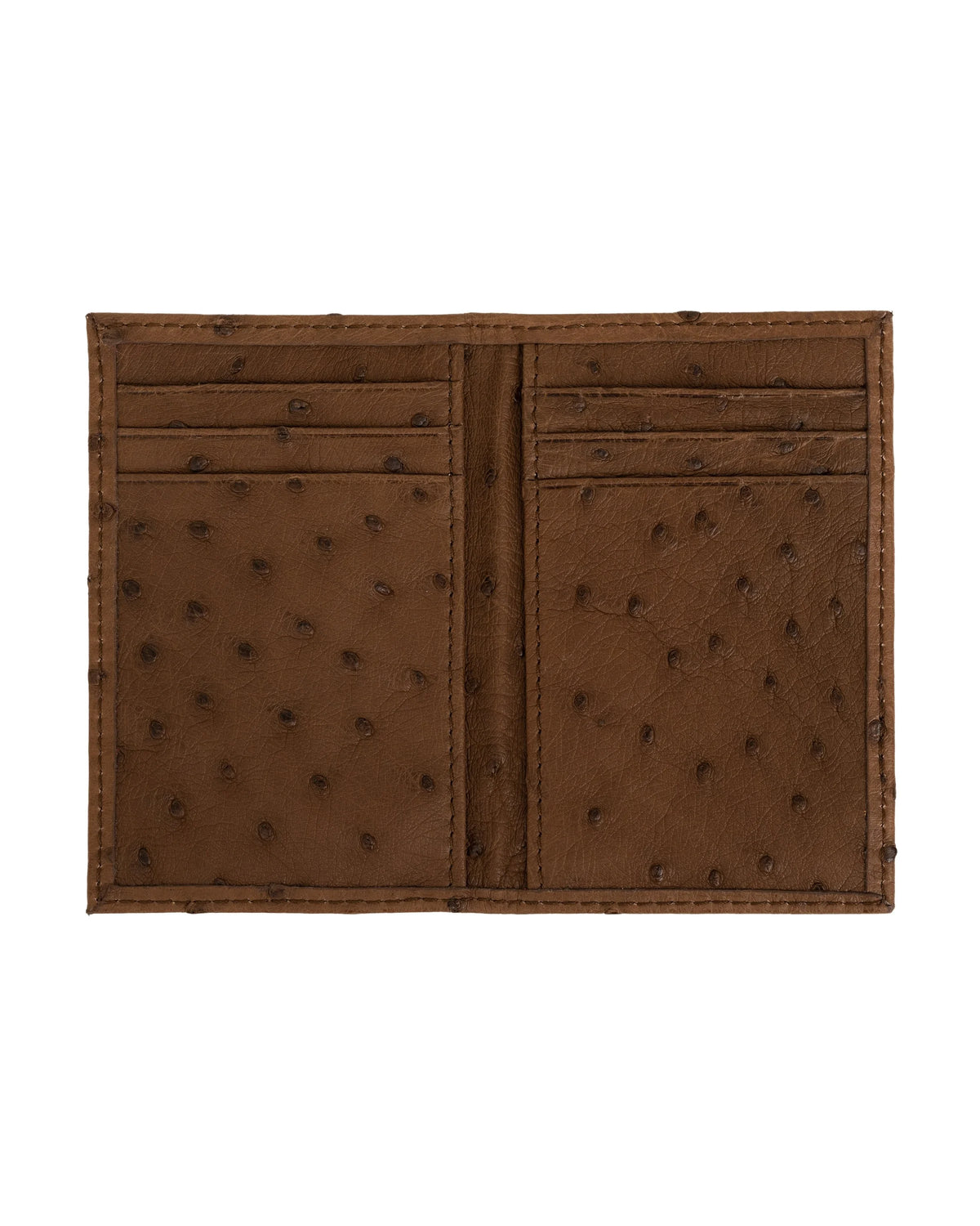 #color_Brown