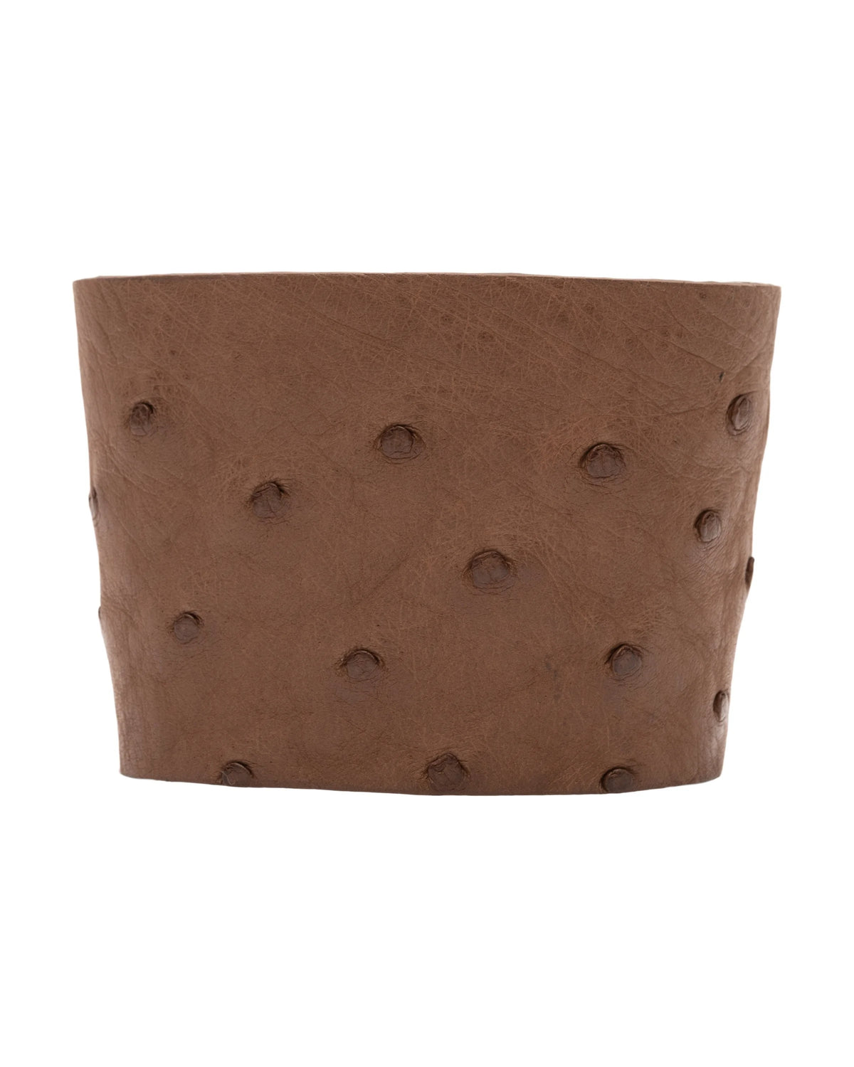 #color_Brown