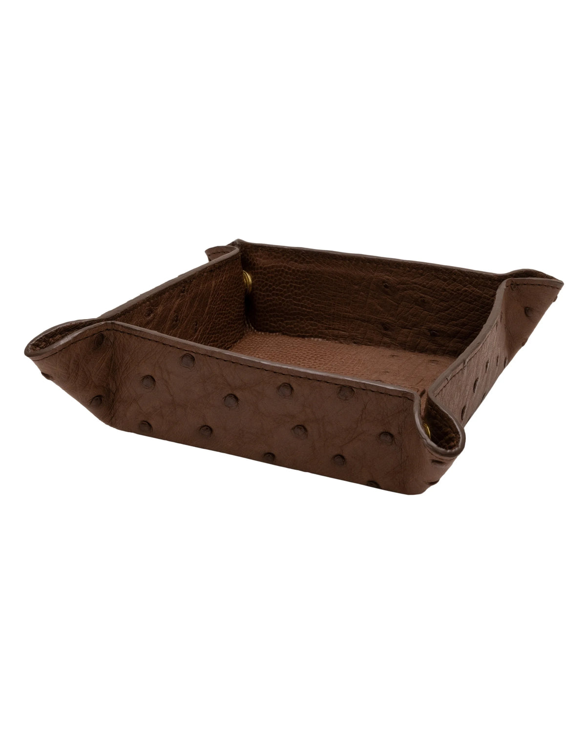 #color_Brown