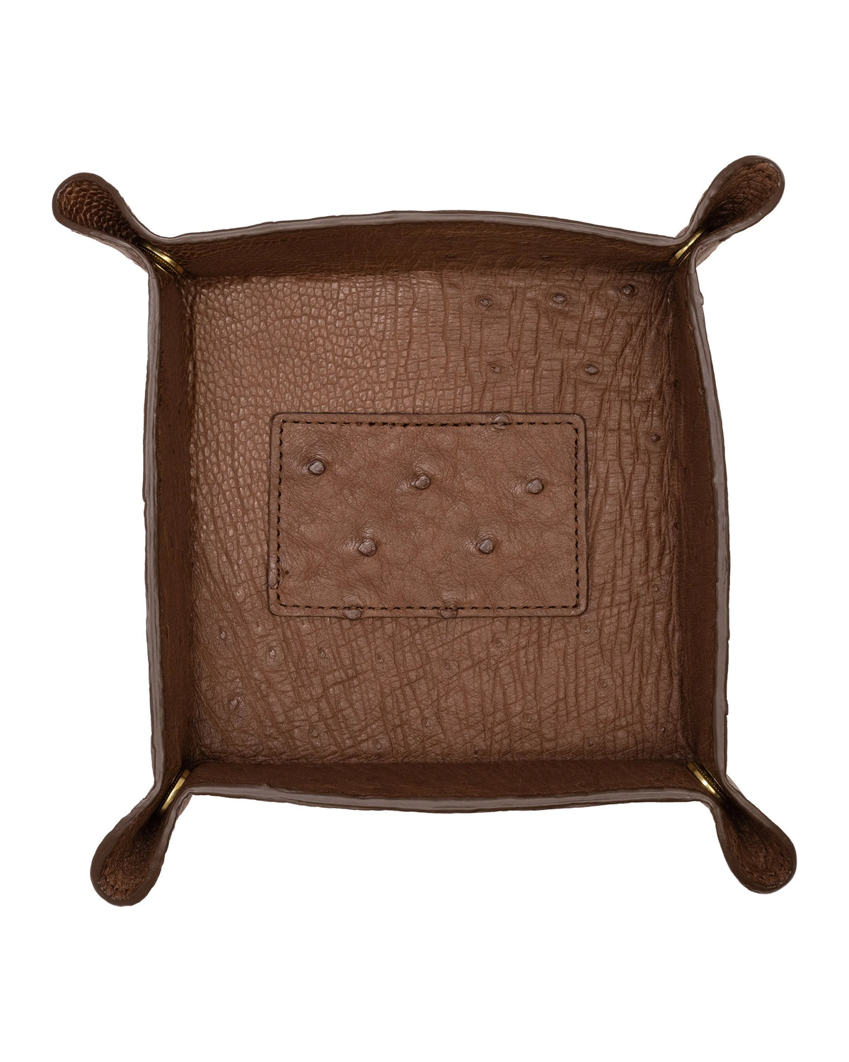 #color_Brown